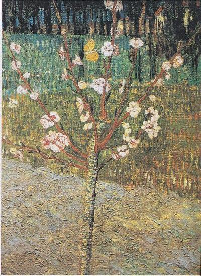 Vincent Van Gogh Flowering almond tree oil painting image